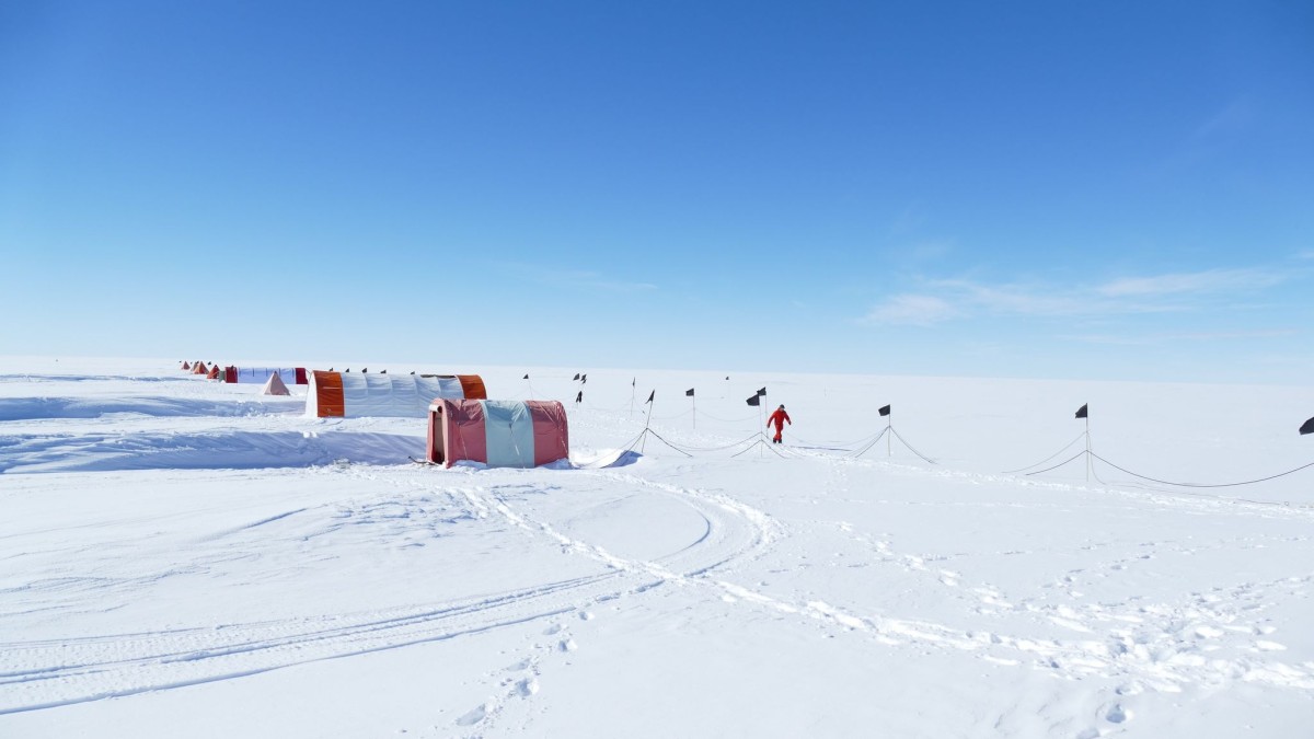 Wetenschap – Antarctisch ijs zou snel kunnen verdwijnen – Kennis