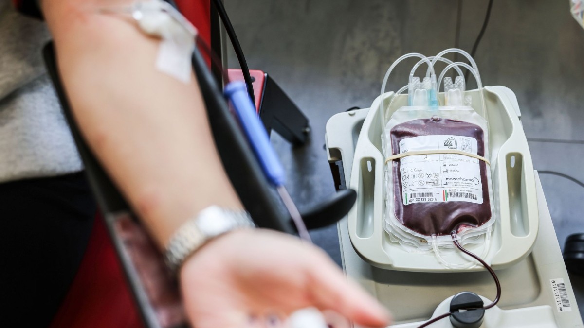 Gesundheitsministerin ruft junge Menschen zur Blutspende auf