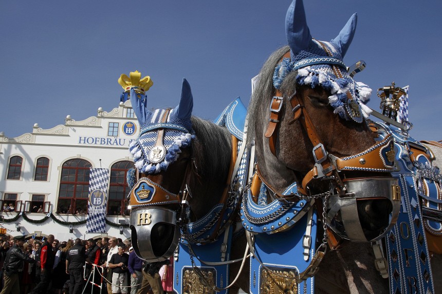 Traditionally decorated horses take part in the Parade of the Landlords and Breweries during the opening of 177th Oktoberfest in Munich