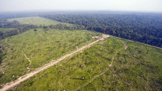 Vor Klimagipfel in Cancún: Waldrodungen im Jamanxim-Nationalwald in Brasilien. Vor dem Klimagipfel in Cancún ist ein Abkommen zum Schutz der Urwälder in greifbare Nähe gerückt.