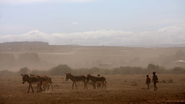 Dürre in Kenia