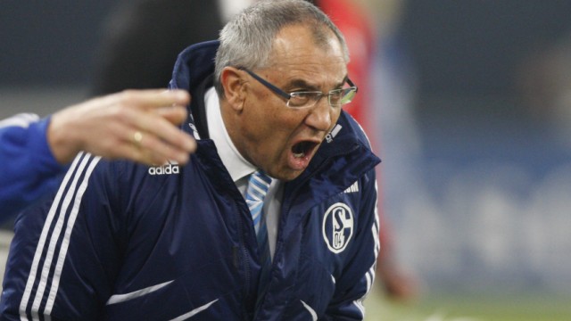 Schalke 04's head coach Magath reacts during their German Bundesliga first division soccer match against Stuttgart in Gelsenkirchen