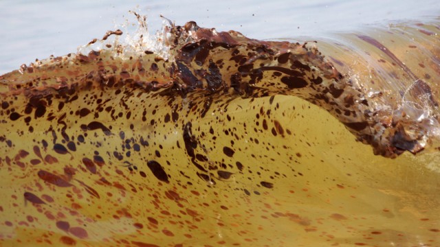 Golf von Mexiko: Mit Öl verunreinigtes Wasser schwappt an den Strand von Orange Beach, Alabama, USA. Das Öl könnte noch Jahrzehnte in manchen Nischen des Ökosystems bleiben, fürchten Wissenschaftler.