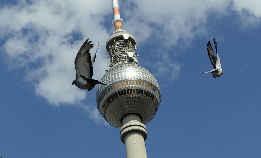 Brieftauben zum Weltfriedenstag am Himmel von Berlin