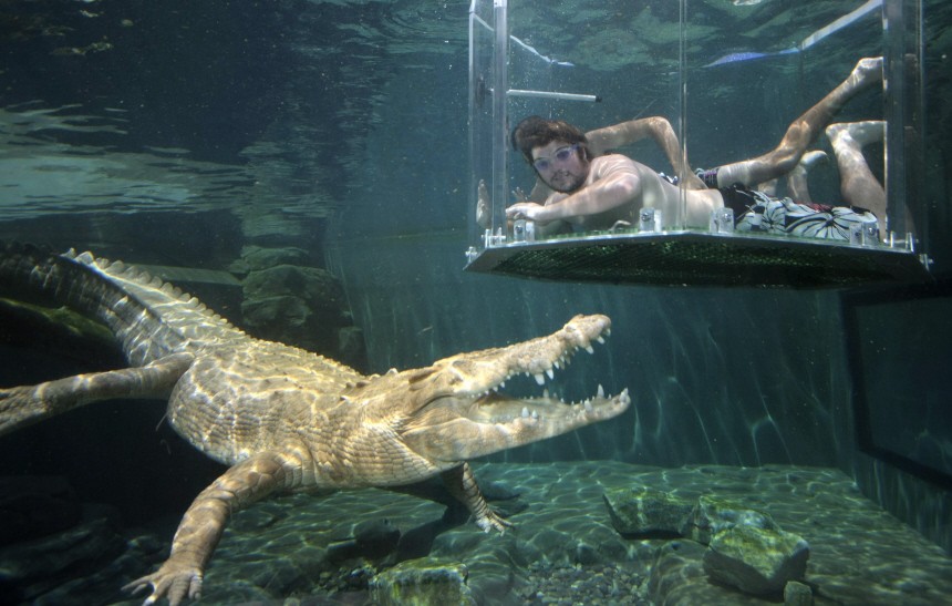 A tourist dives in a cage partially immersed in a crocodile pen in Crocosaurus Cove in Darwin
