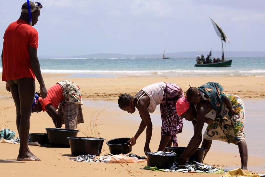 Aug in Aug mit dem Walhai: Der Tauch-Geheimtipp Mosambik