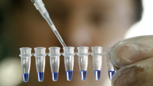 Gendiagnostik-Gesetz: Erbgutproben werden für eine DNA-Analyse vorbereitet. Seit Februar gilt das neue Gendiagnostik-Gesetz - und wird bereits heftig kritisiert.