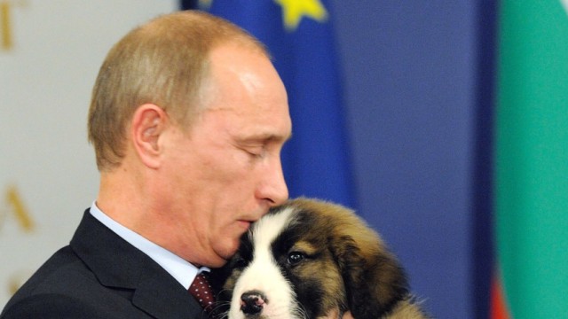 Putin sucht Namen für Welpen