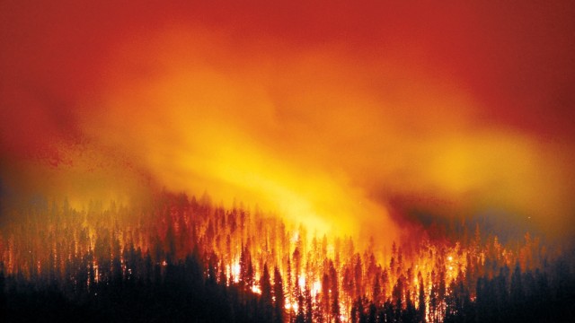 Waldbrand in Montana, 2001