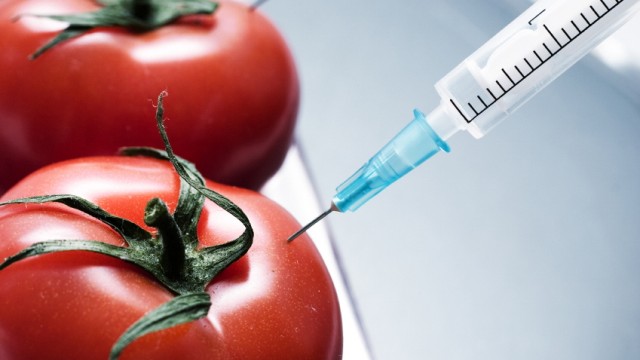 Halb Nahrung, halb Medikament: Eine Tomate gegen Diabetes? Zukunftsmusik - noch. Lebensmittelkonzerne hoffen auf das Geschäft mit angeblich heilender Nahrung.