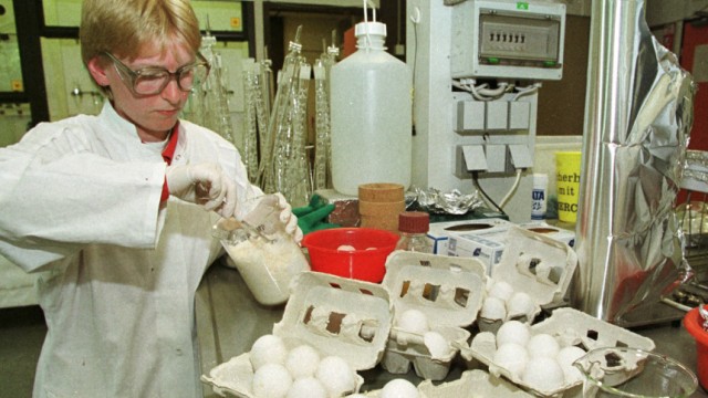 Die Lebensmittelchemikerin MARTINA SINDERMANN testet belgische Eier nach ihrem Dioxingehalt