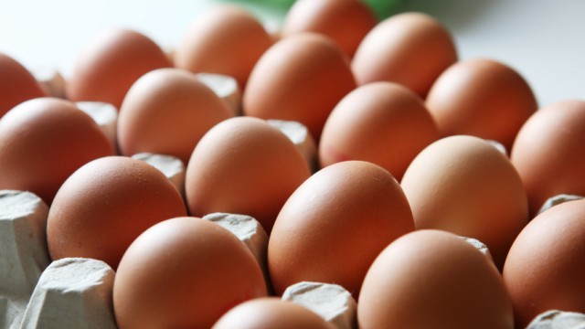 Dioxin in Eiern nachgewiesen