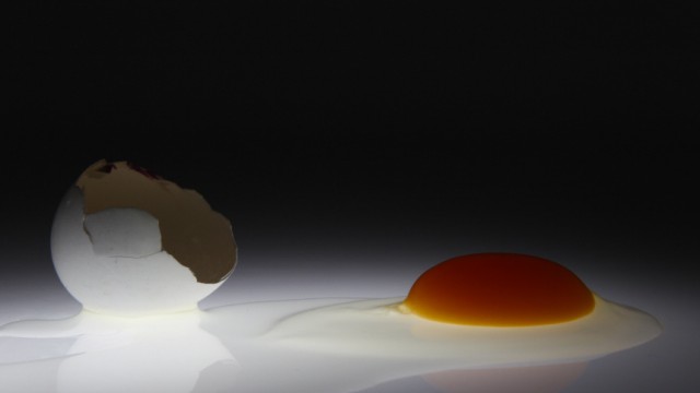 A picture illustration of an empty chicken egg shell next to the raw egg white and yolk taken in Berlin