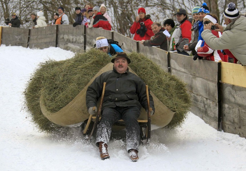 Bavarian farmer Georg Hohenleitner rides a horn sledge loaded with hay to demonstrate the traditional winter transport in the Alpine mountains during the 42nd international Bavarian 'Hornschlitten' race in Garmisch-Partenkirchen