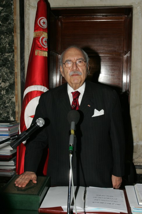 Tunisian constitutional council names interim leader