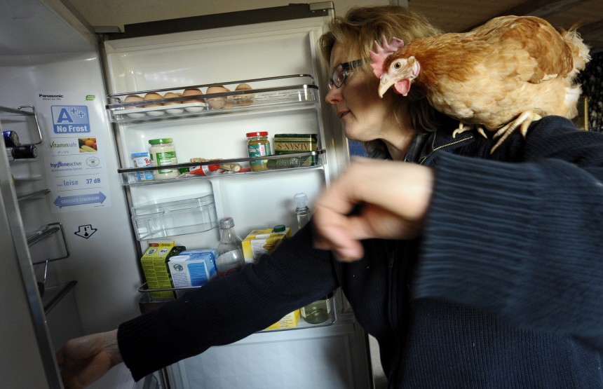 Die Vegetarierin und ein Huhn namens Rudi