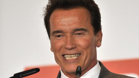 Arnold Schwarzenegger, Stierhoden,