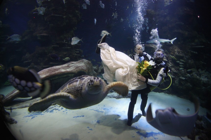 Couple Declare Their Love With Valentines Day Underwater Blessing