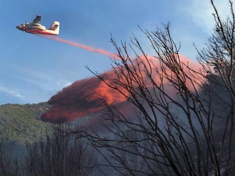 Waldbrände auf Korsika; AFP