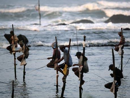 Stelzenfischer in Sri Lanka;Reuters