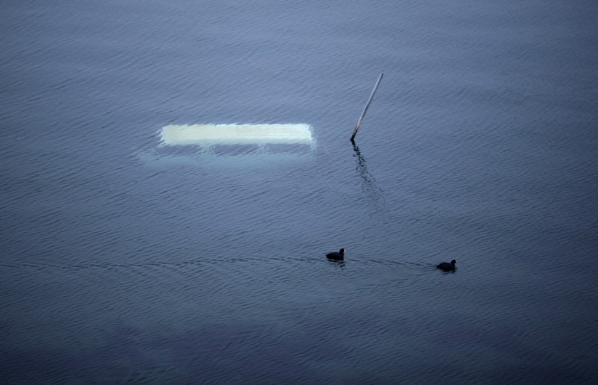 Ducks swim past a submerged vehicle after the earthquake and tsunami in Yamada town, northern Japan