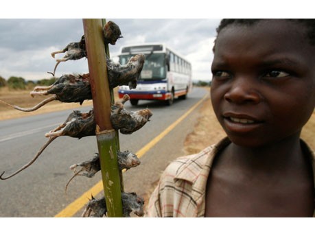 Straßenverkäufer in Malawi;Reuters