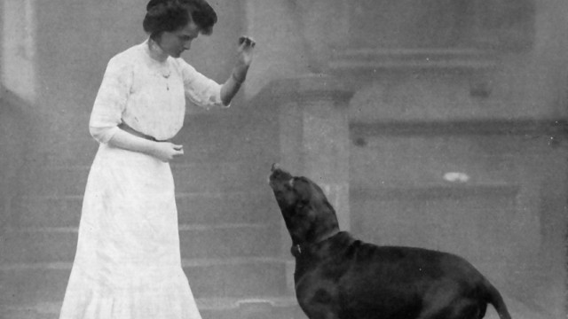 Drittes Reich: Hundetraining: Frauchen mit Hund mitten im Training: Mit menschlicher Stimme soll Jagdhund Don gesagt haben: "Hunger! Kuchen haben!"