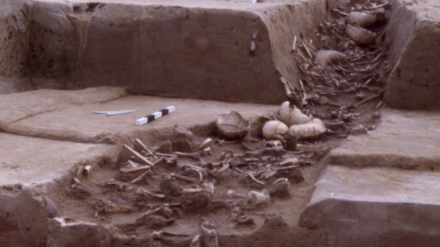 Archäologie in Deutschland: Die schiere Menge der Knochen und vor allem rätselhafte Spuren an diesen stellten die Wissenschaftler vor Rätsel.