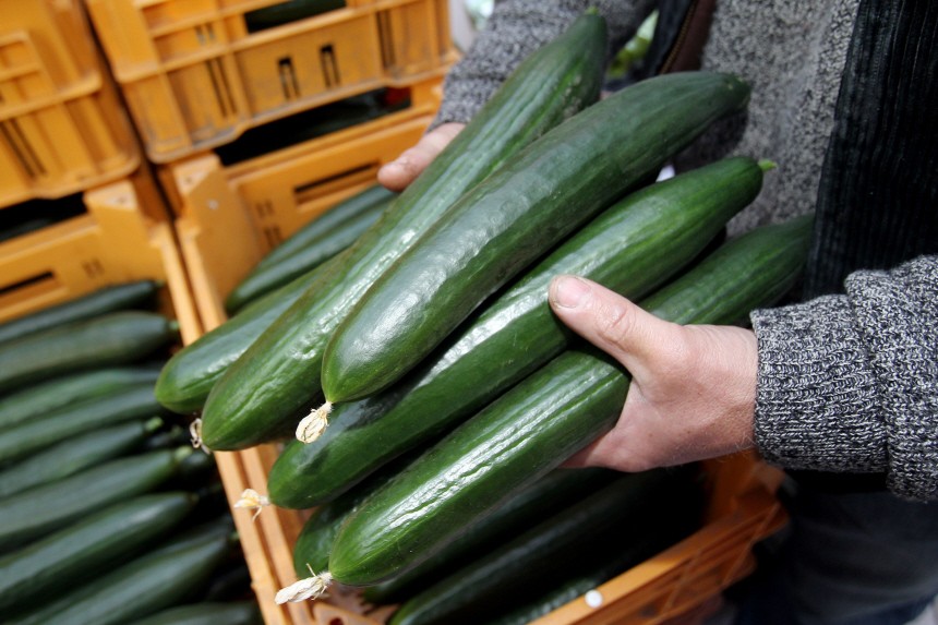 Gemüsebauern verschenken Gemüse in Hamburg