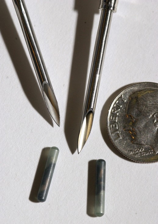 Tiny radio frequency identification computer chips with the needles used to implant them under the skin