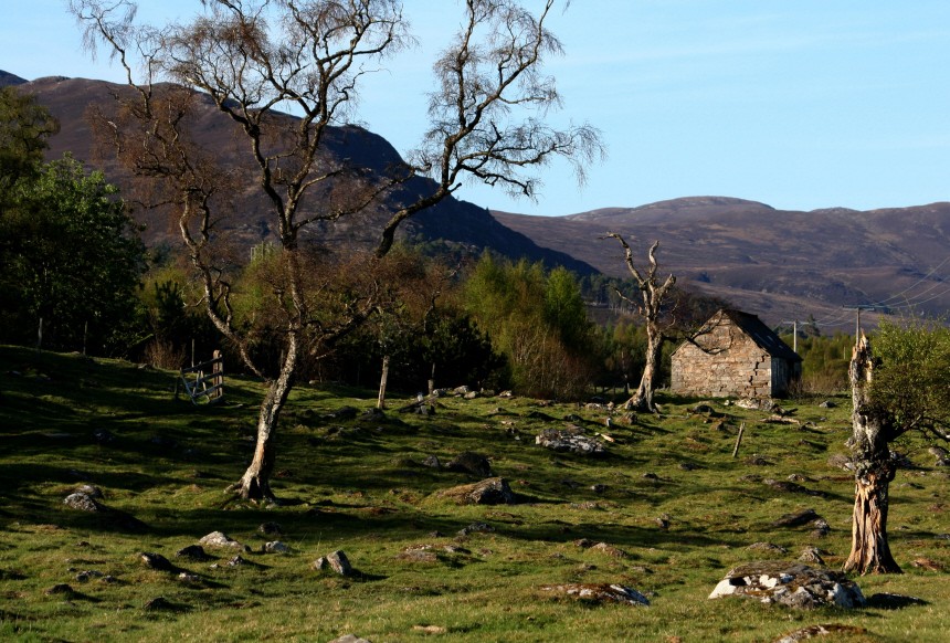Die Einsamkeit der Hochheide: Unterwegs in den Highlands