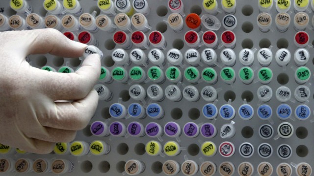 File photo of human genetic material being stored at a lab in Munich