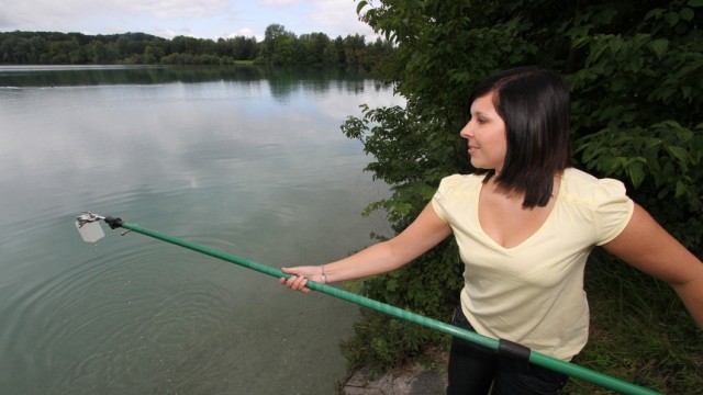 Karlsfelder See: Janine Gräbner vom Gesundheitsamt fischt im Karlsfelder See nach Keimen.