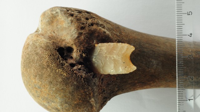 Archäologie auf dem Schlachtfeld: Ein Pfeil durchbohrte im Tollesetal vor mehr als 3000 Jahren den Arm eines Menschen der Bronzezeit und blieb im Knochen des Getroffenen stecken.