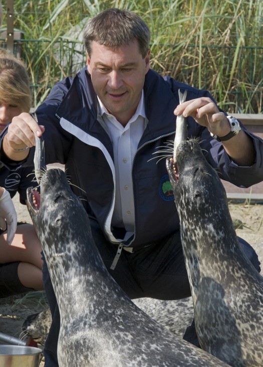 Bayerns Umweltminister Soeder besucht Seehundstation im Nationalpark Wattenmeer