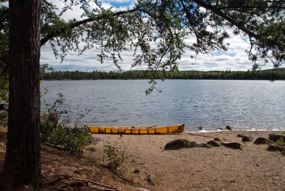 Stille Seen und Schwarzbären: Kanu-Urlaub im Norden Minnesotas