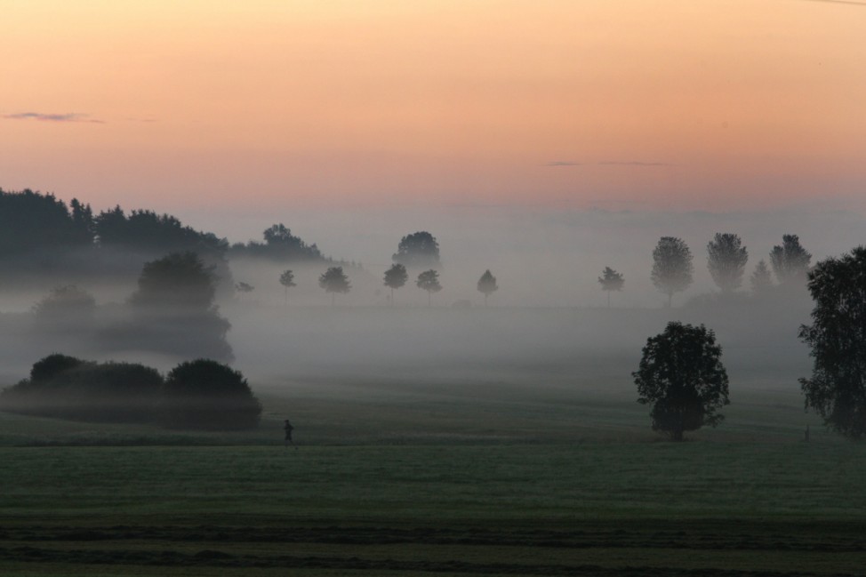 Morgennebel im Voralpenland