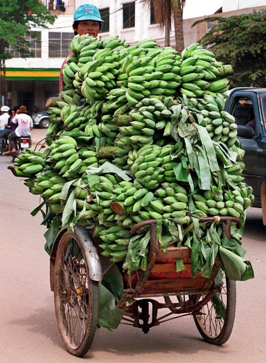 Mit Bananen überladenes Fahrrad in Kambodscha