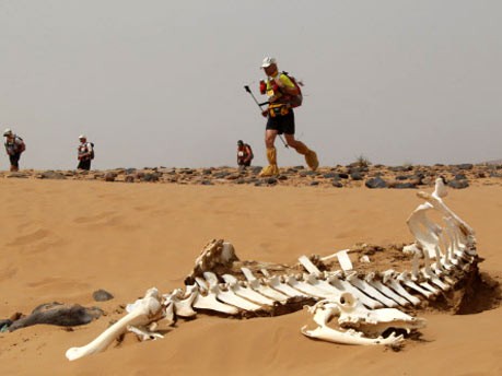 Marathon des sables, Marokko, AFP