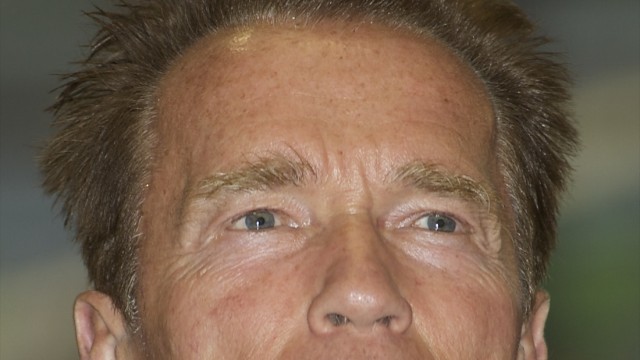 Arnold Schwarzenegger attends 'Arnold Classic Europe' 2011 Party