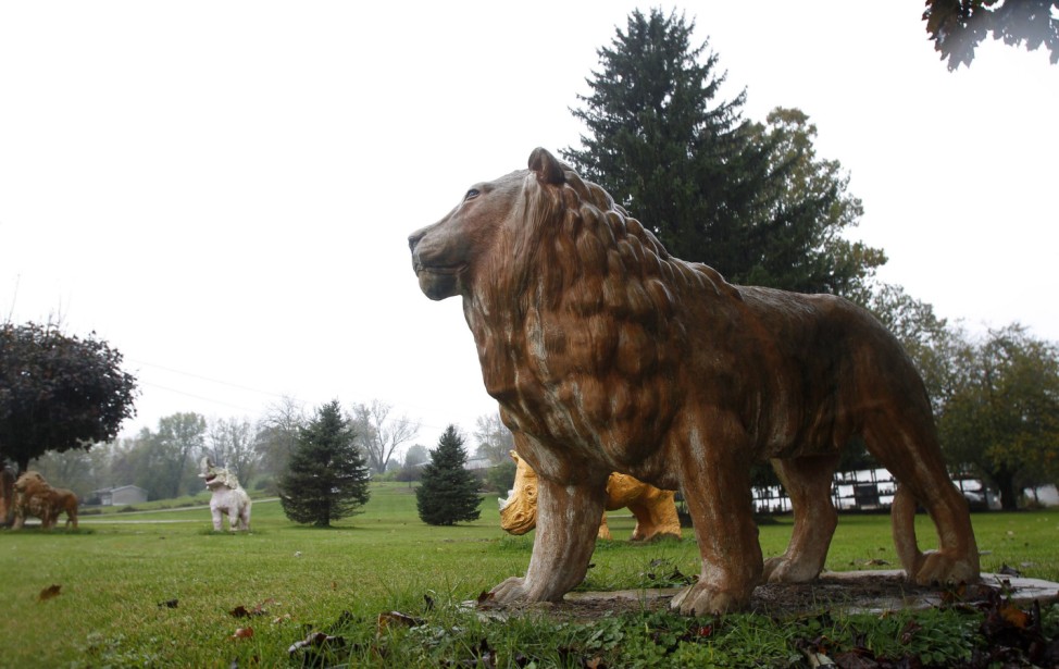 A statue of a lion sits in a yard near a property from where exotic animals escaped in Zanesville