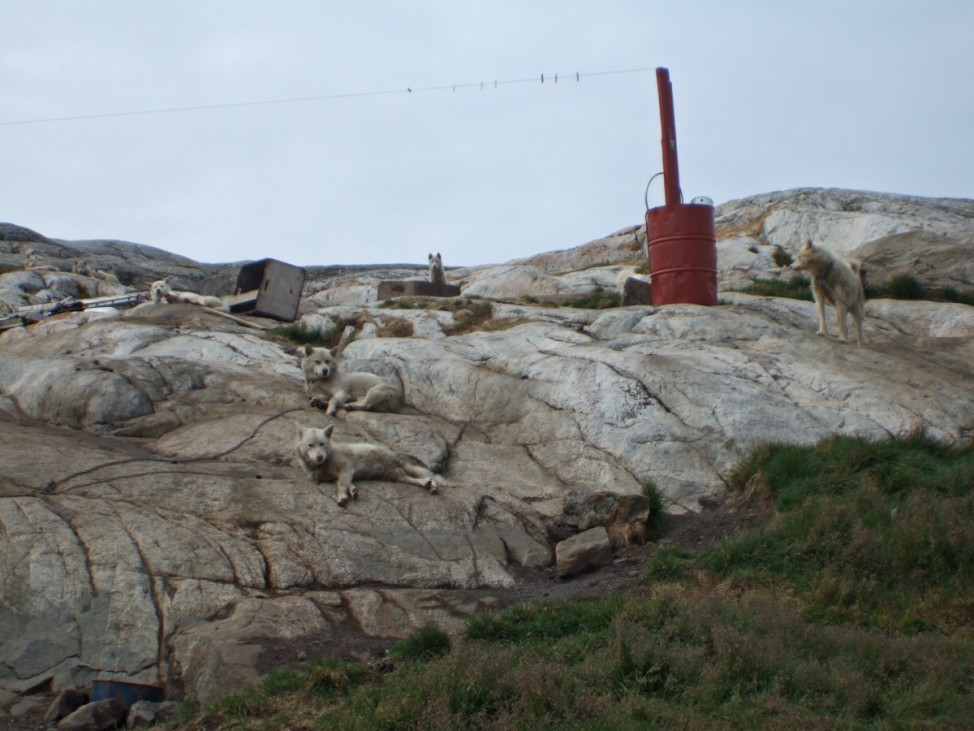 Grönland Kulusuk Tassilaq