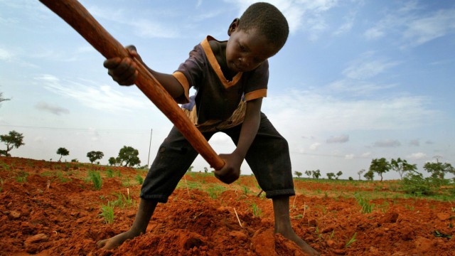 Hungersnot in Niger wegen Dürre und Heuschreckenplage, 2005