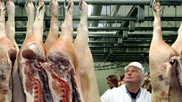 schweinehälften nachrungsmittelindustrie usa dpa