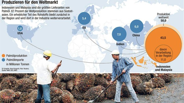 Handelskonzerne im Test: Der Verbrauch von Palmöl steigt - der Regenwald leidet.