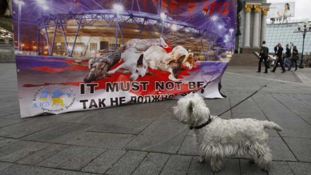 Skandal im EM-Gastgeberland Ukraine: In Kiew protestieren Tierschützer gegen den vermeintlich gezielten und systematischen Hunde-Mord im EM-Gastgeberland Ukraine.