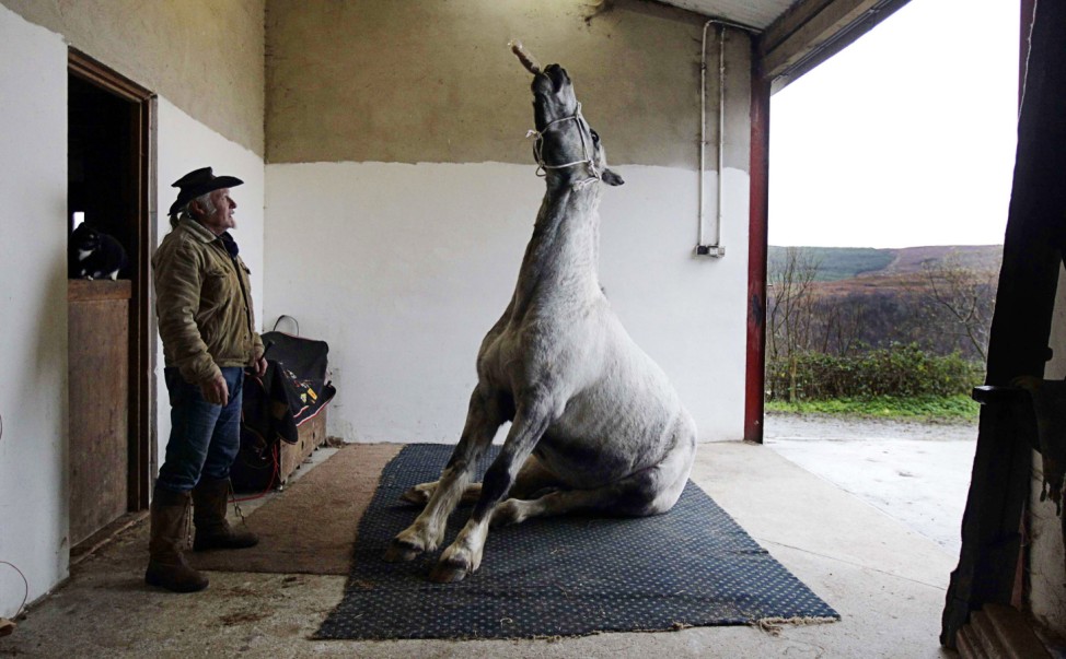 Irish horse trick trainer 'Texas Ollie' works on a routine with Jo Jo, his part-Appaloosa gelding, at his farm near the village of Glenties, county Donegal