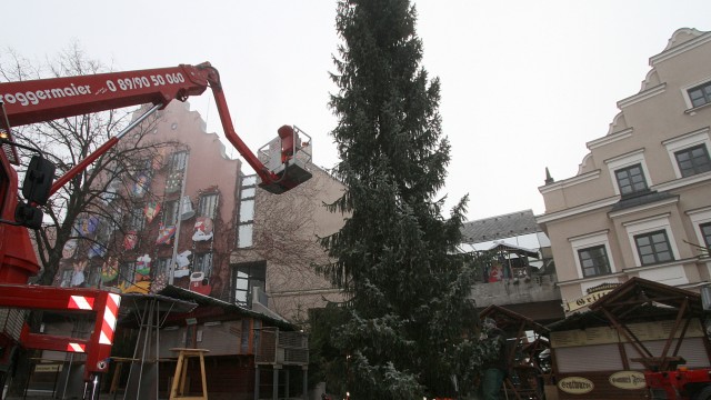 Landkreis Dachau: Erst vor ein paar Tagen wurde der Weihnachtsbaum vor dem Rathaus aufgestellt. Es beginnt die besinnliche Zeit.