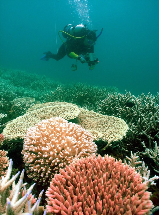 Great Barrier Reef, Australien