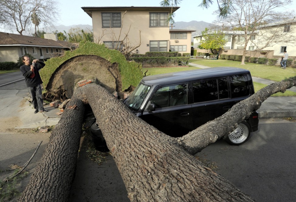 High winds damage Los Angeles and vicinity